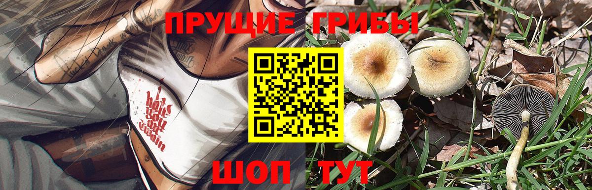 Галлюциногенные грибы GOLDEN TEACHER Норильск