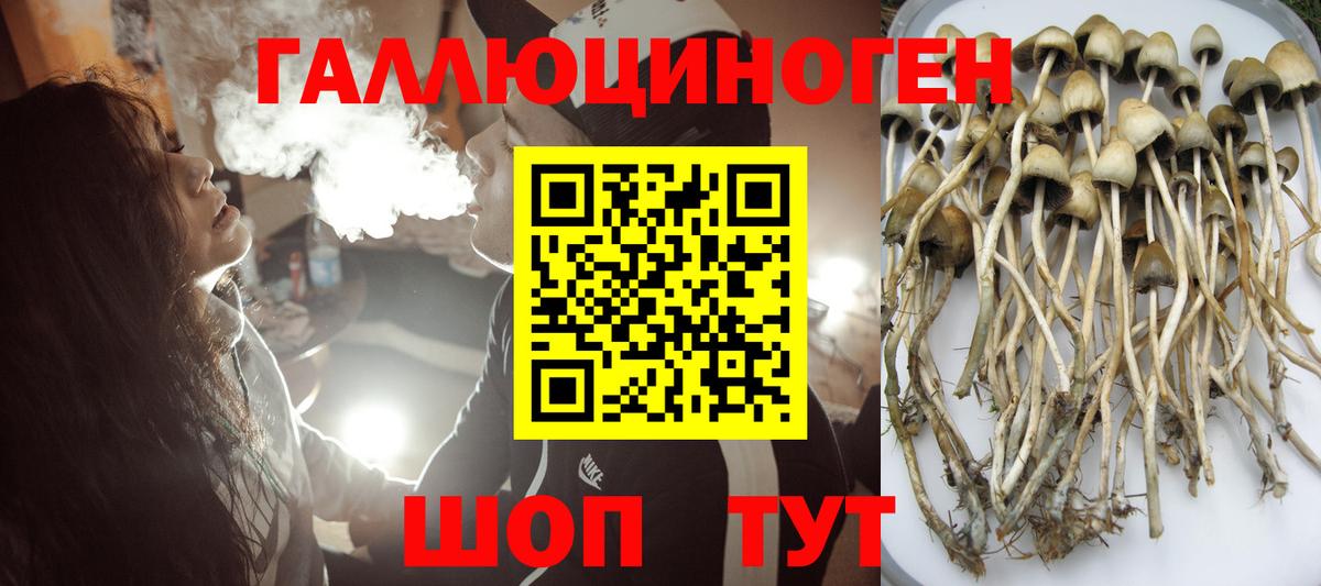 Норильск  Галлюциногенные грибы GOLDEN TEACHER  Псилоцибиновые грибы мицелий  где купить   Вход с VPN 
